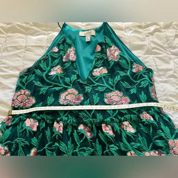 Belle Badgley Mischka Green Pink Sundress - Picture 10 of 11